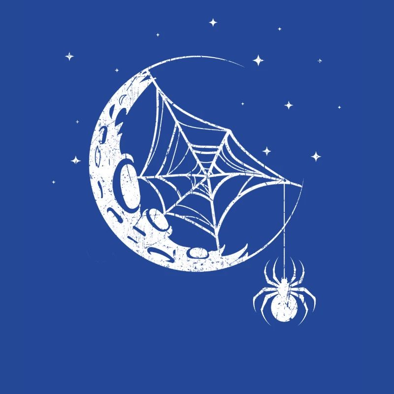 Spider Spider Web