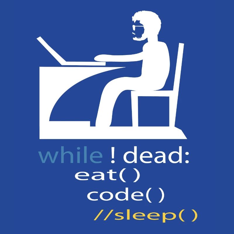 Softwareentwickler Programmierer Geschenk