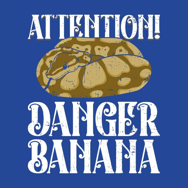 Königspython Banana Königspython Schlange