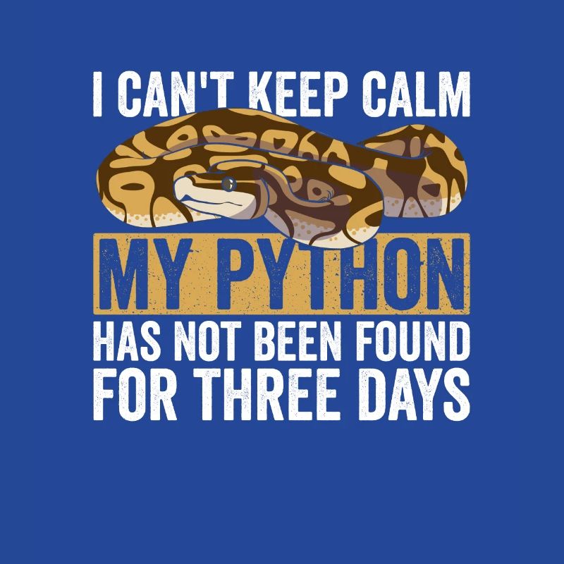 Königspython Bananenkugel Python