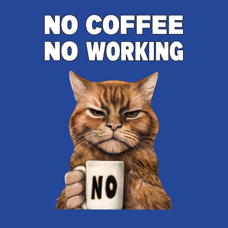 no coffee no working. Grumpy Funny Cat