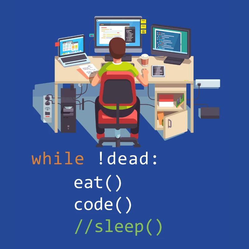 Informatique Python Programmeur Manger Code Sommeil