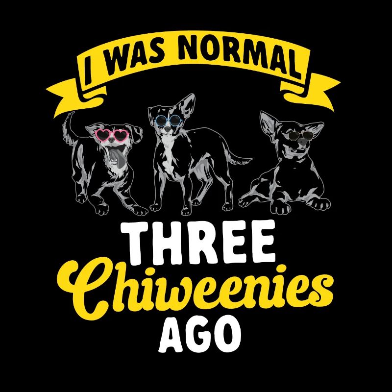Chiweenie Dog