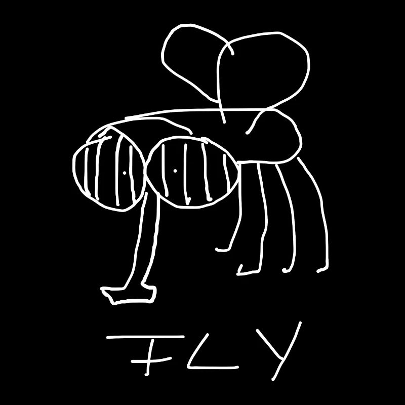 Fliege