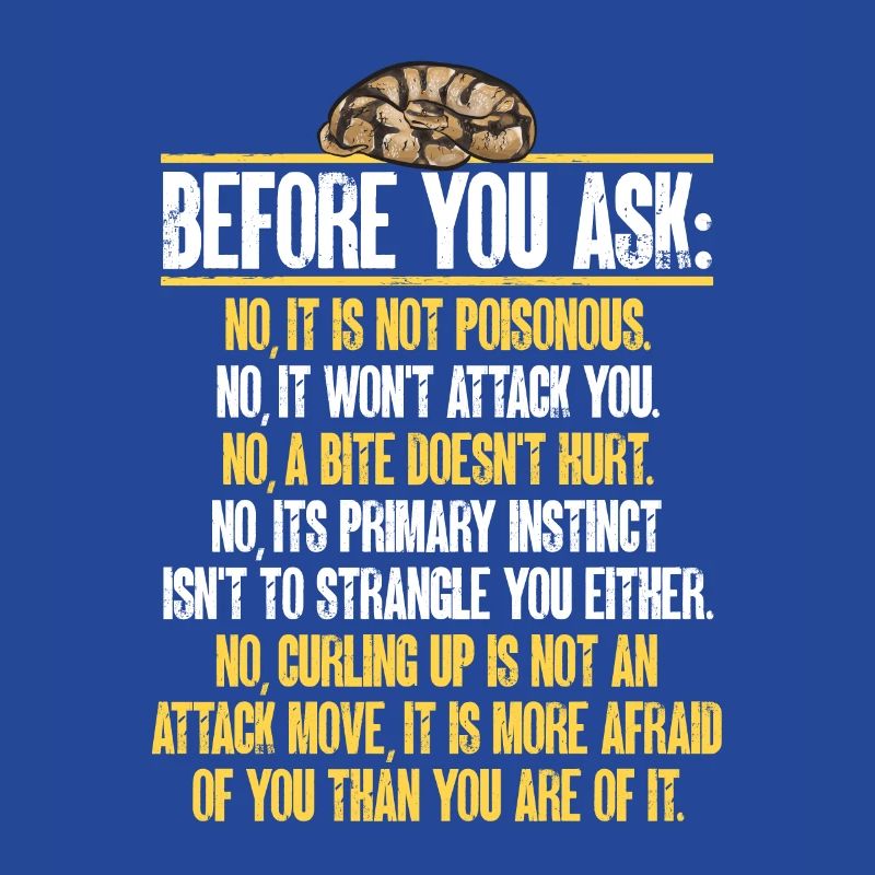 Ball Python Schlange Königspython