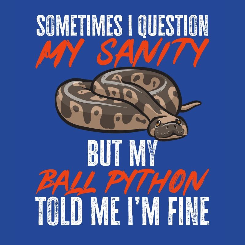 Ball Python Schlange Königspython