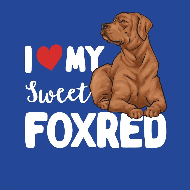 Fuchsroter Labrador Retriever Fox Red Labrador