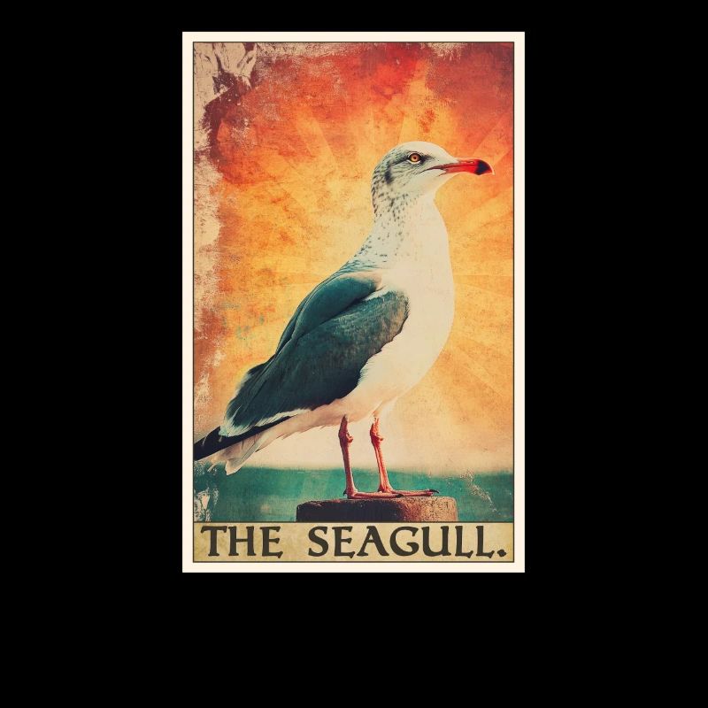 Seagulls Seagull