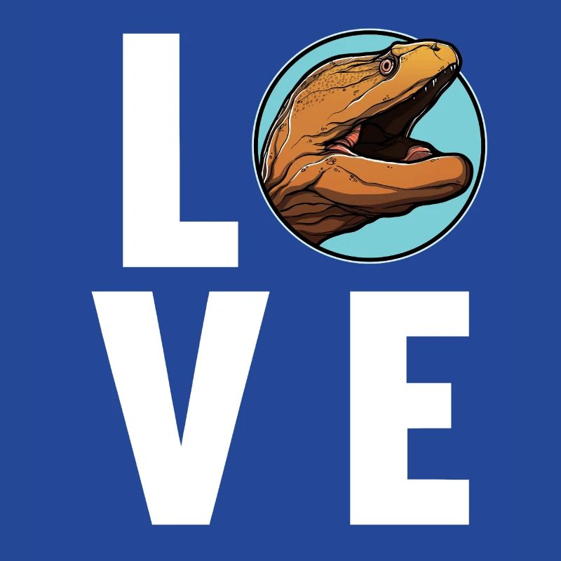 Moray eels Moray eel