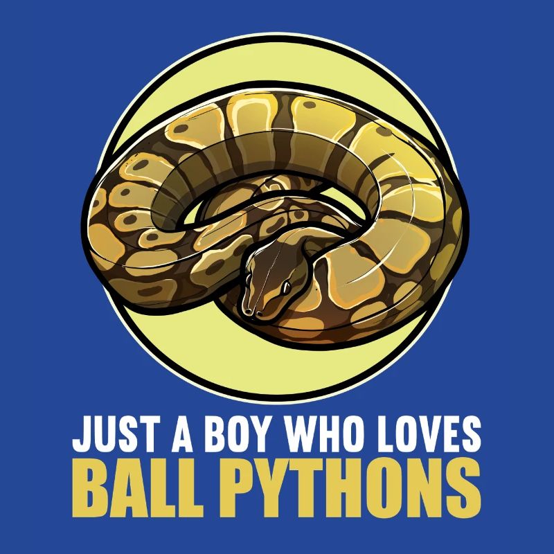 Ball Python Roi Python Roi Python