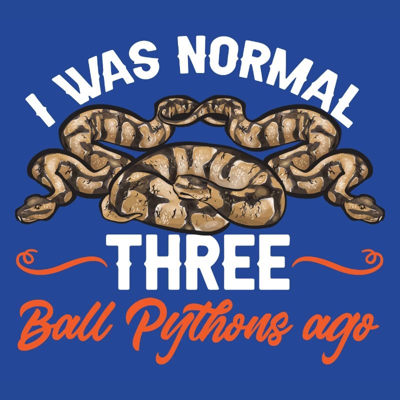 Ball Python Schlange Königspython