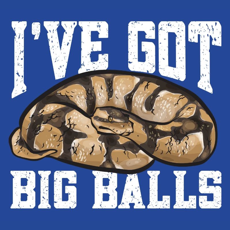 Ball Python Schlange Königspython