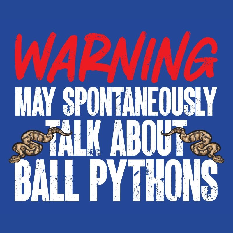 Ball Python Schlange Königspython