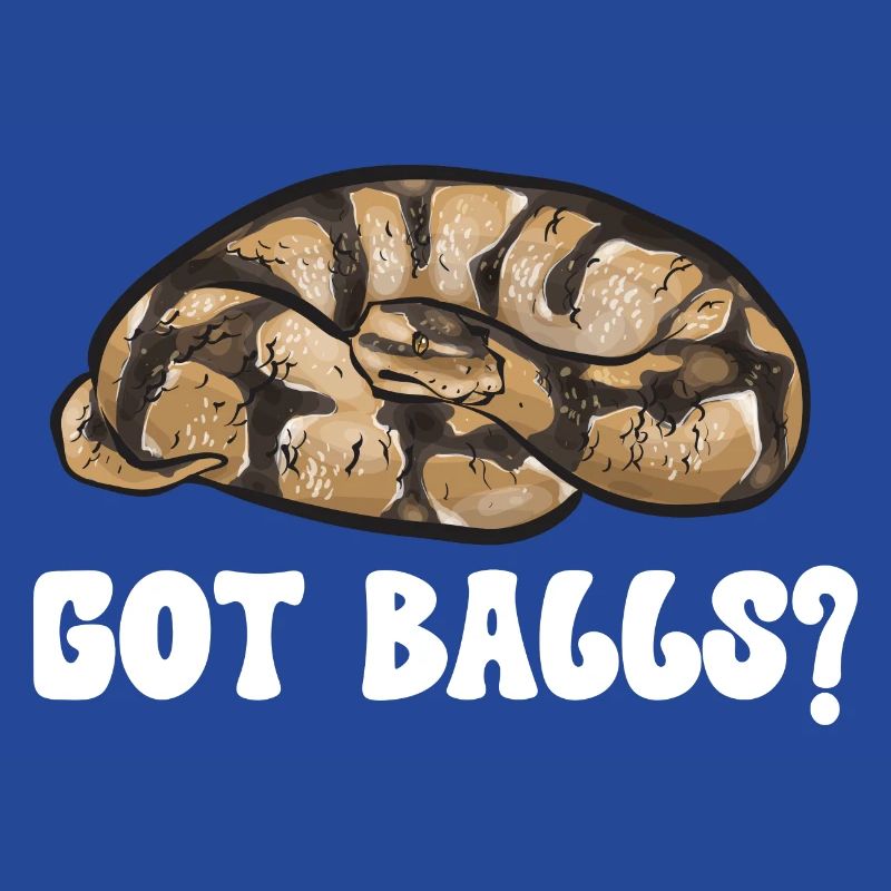 Ball Python Schlange Königspython