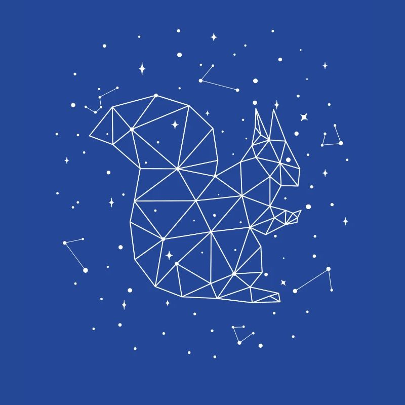 Constellation Squirrel Constellation Squirrel