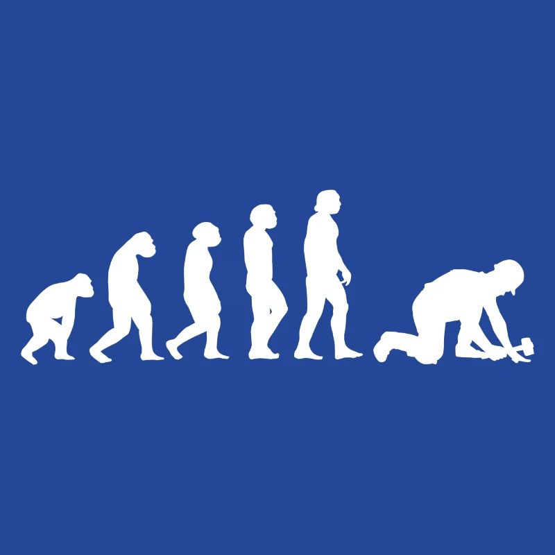 Evolution Pflasterer