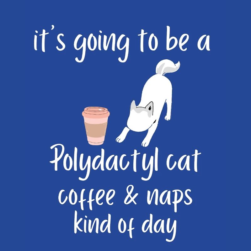 es wird ein Polydactyl Katze Kaffee Nickerchen Tee