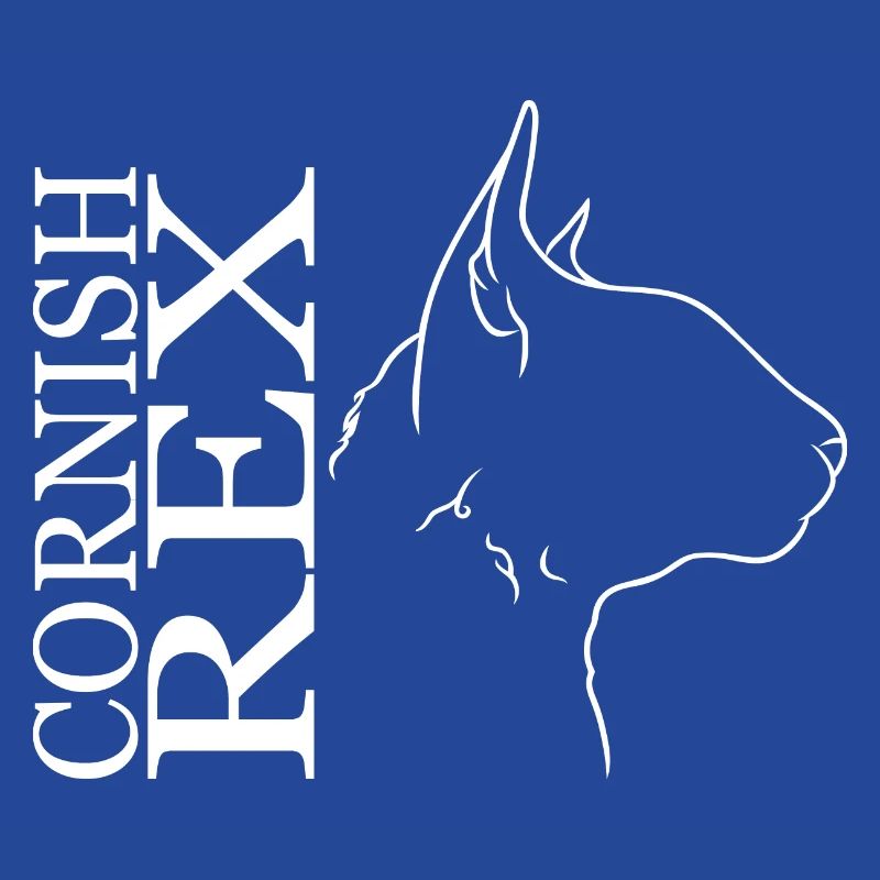Cornish Rex Profil Chat Cat Wilsigns