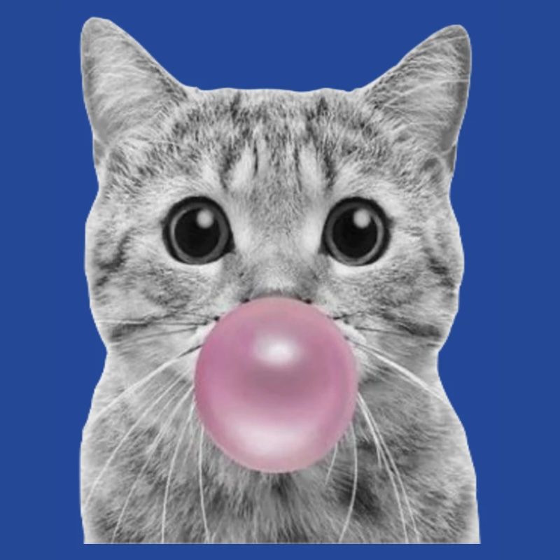 Bubble Cat
