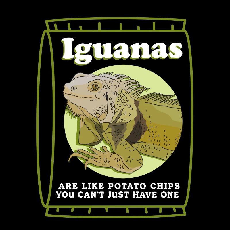 Leguan Eidechse Reptilien Leguane Geschenk