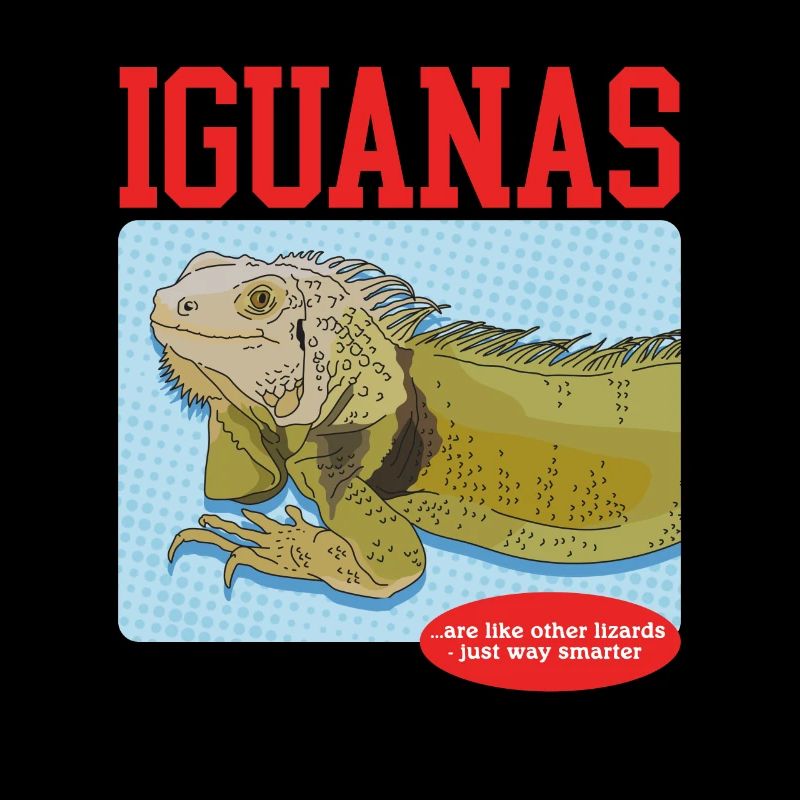 Leguan Reptilien Eidechse Leguane Geschenk