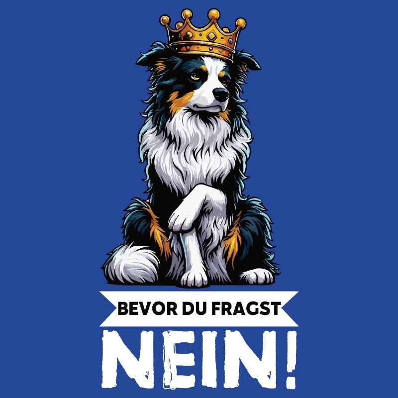 Bevor Du Fragst Australian Shepherd Aussie Aussie