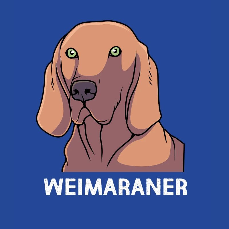 Weimaraner