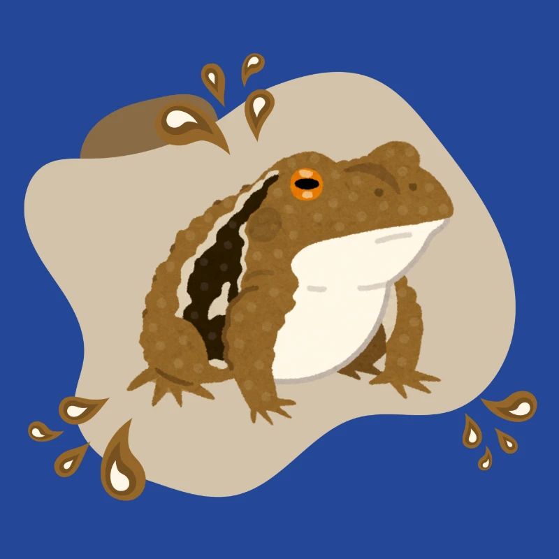 Toad
