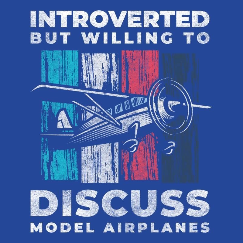 Model Airplane Model Flying Machine Flight