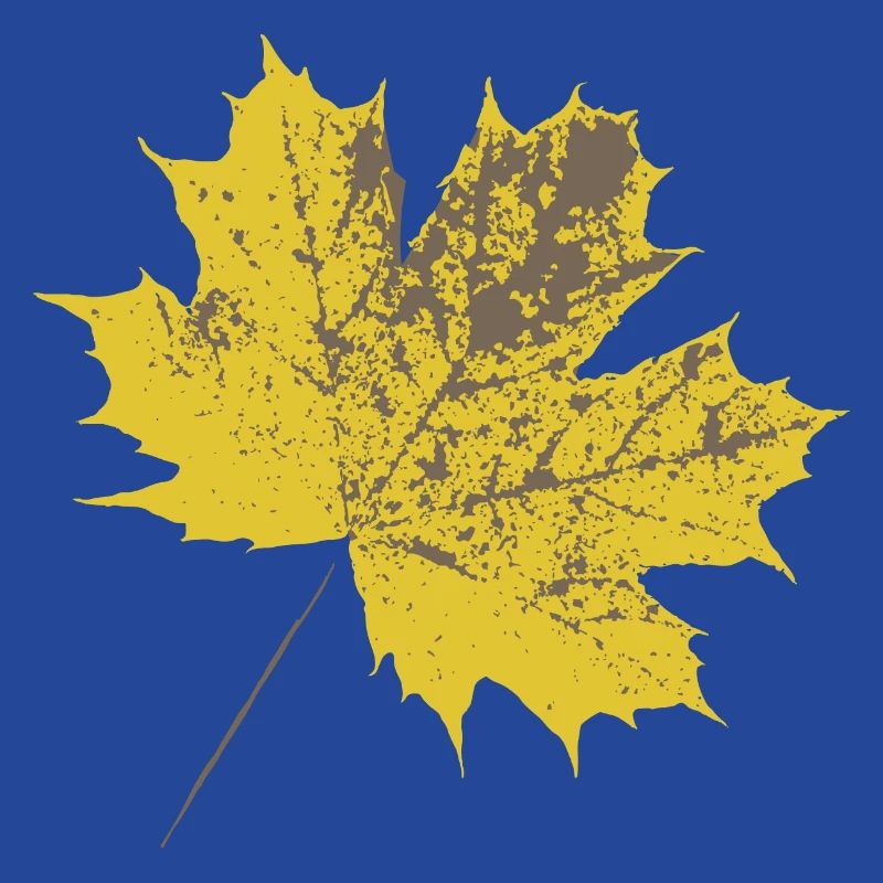Yellow maple leaf