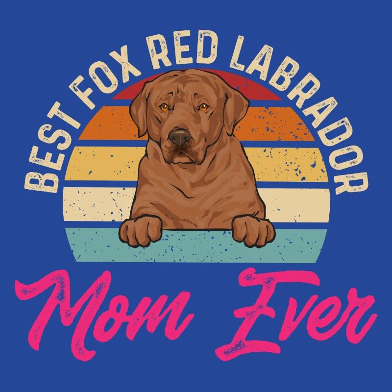 Foxred Labrador Fox Red Labrador Retriever