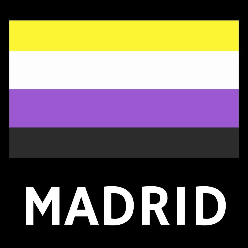 Non binary Pride Flag Madrid