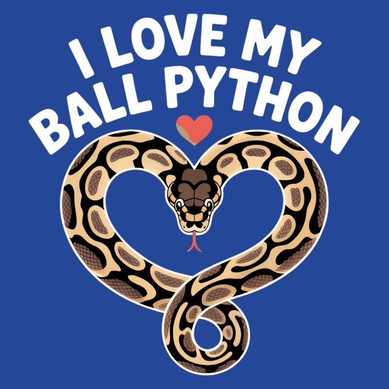 J’adore mon python royal ! Roi python