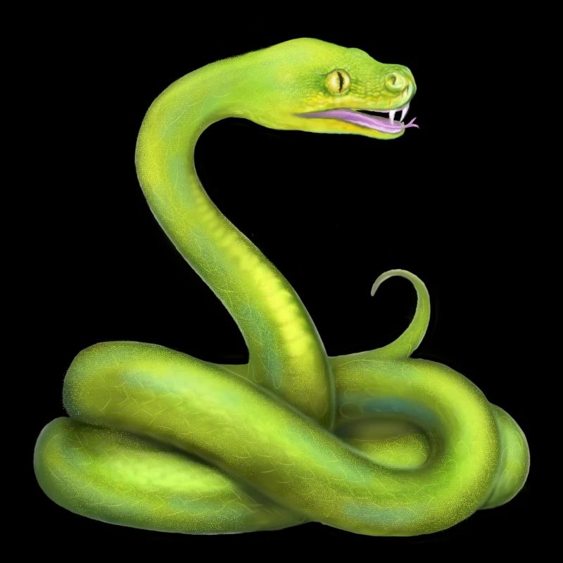 The Green Python Snake Jungle Animal