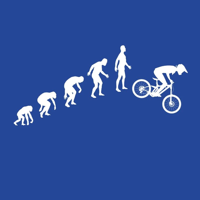 Evolution de la descente