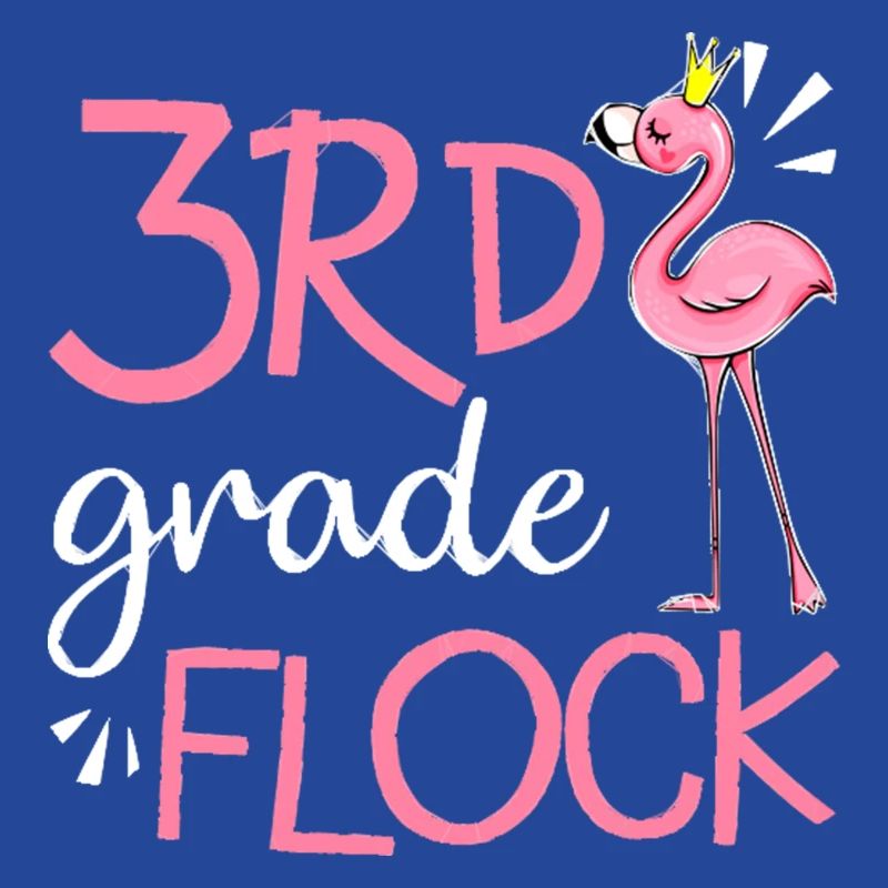 Flamingo Back To School 3rd Third Grade Flock