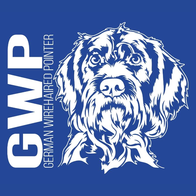 German Wirehaired Pointer Portrait Jagdhund Hunde