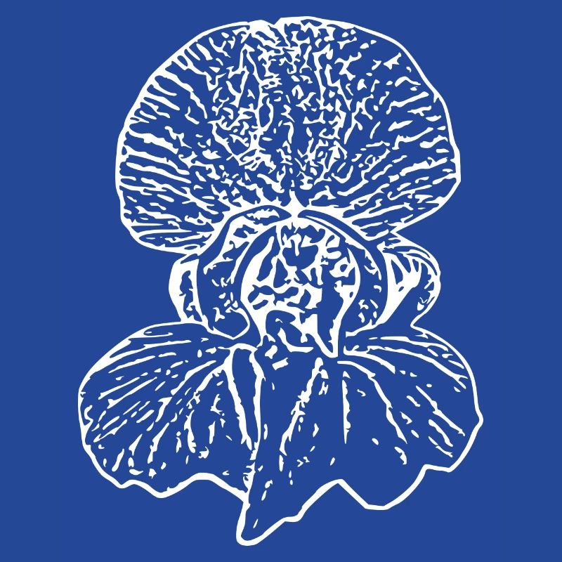 Muttertags Geschenk Mutter Muttertag Geschenkidee 