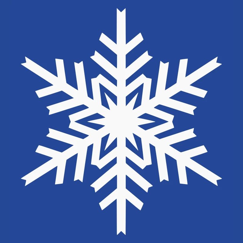 Geometric Snowflake