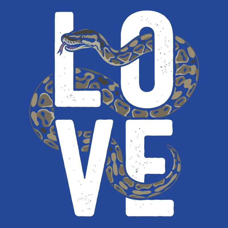 Les serpents rois Python ADORENT les pythons de terrarium