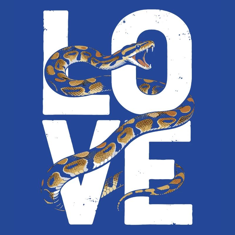 Les serpents rois Python ADORENT les pythons de terrarium