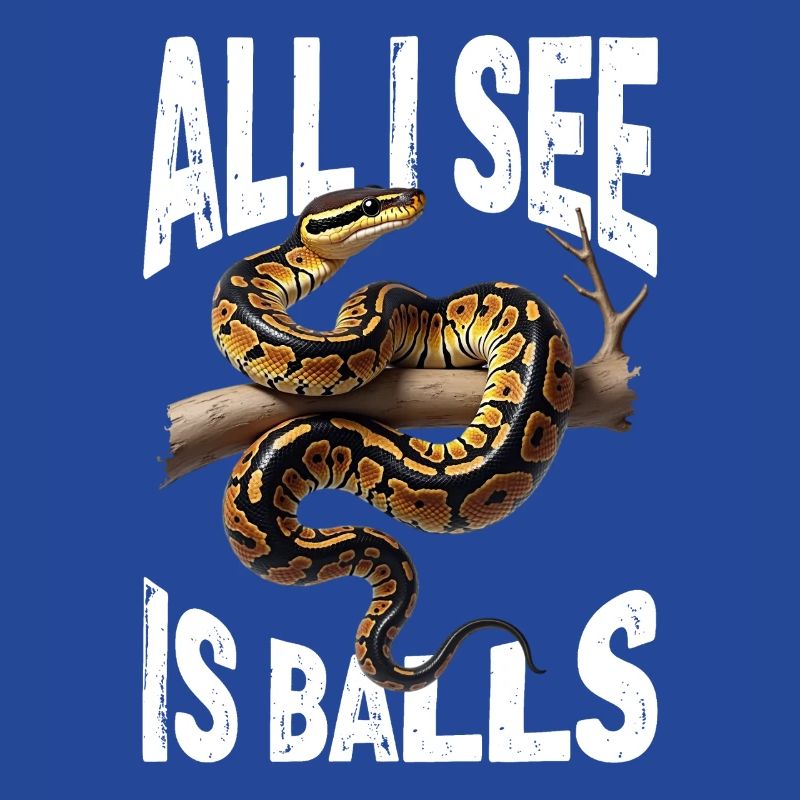 Python roi Serpents Amateurs de terrarium Python