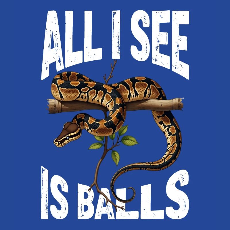 Python roi Serpents Amateurs de terrarium Python