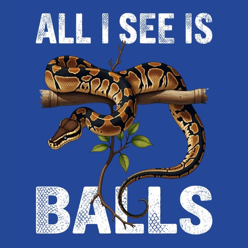 Python roi Serpents Amateurs de terrarium Python