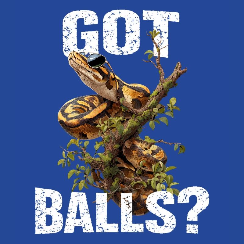 Python roi Serpents Amateurs de terrarium Python