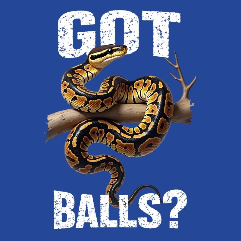 Python roi Serpents Amateurs de terrarium Python