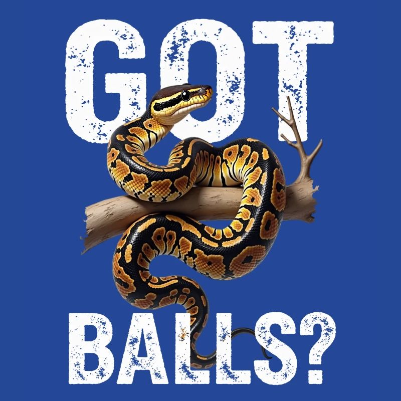 Python roi Serpents Amateurs de terrarium Python