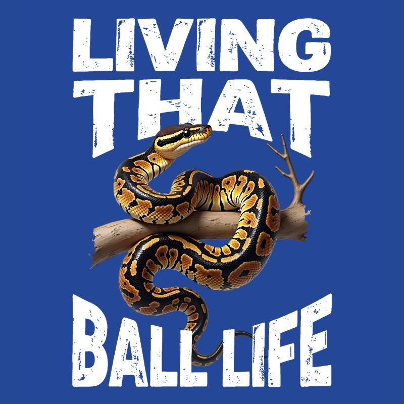 Königspython Schlangen Liebhaber Terrarium Python