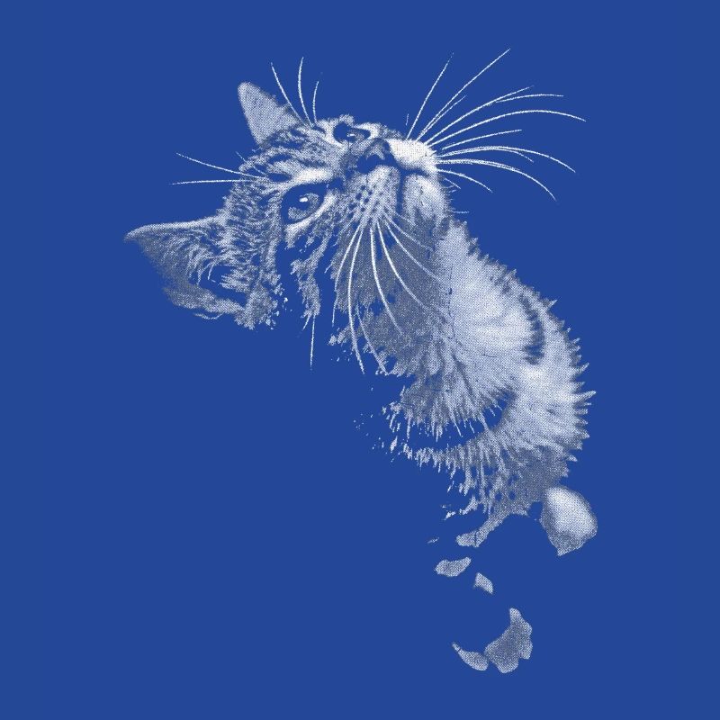 Grayscale Cat Purring Look