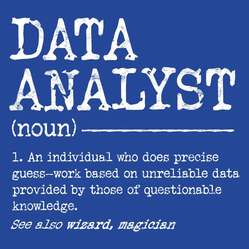 Data Analyst Meme Tee